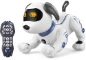 Zdalnie sterowany Robopiesek sztuczki programowanie Zdalnie sterowany Robopiesek sztuczki programowanie