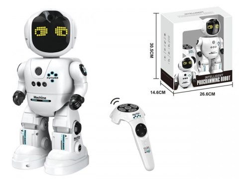 Inteligentny Programowany Robot sterowany pilotem gestem Inteligentny Programowany Robot sterowany pilotem gestem
