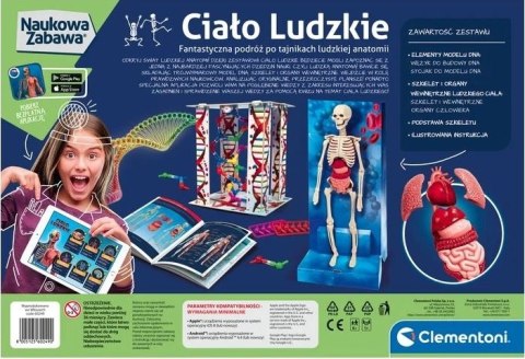 Ciało ludzkie montaż szkieletu i narządów Clementoni Ciało ludzkie montaż szkieletu i narządów Clementoni