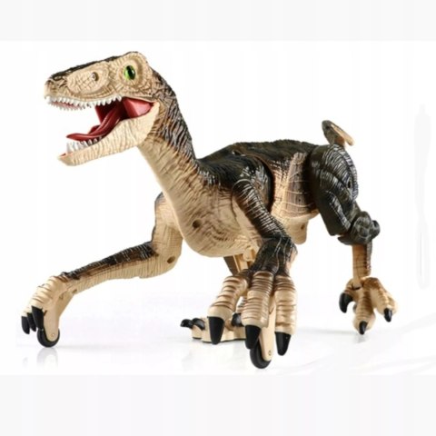 Dinozaur Velociraptor zdalnie sterowany pilot port usb dźwięki QX023 Dinozaur Velociraptor zdalnie sterowany pilot port usb dźwięki QX023