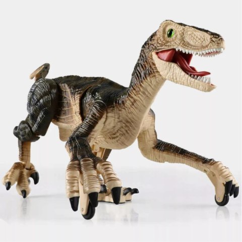 Dinozaur Velociraptor zdalnie sterowany pilot port usb dźwięki QX023 Dinozaur Velociraptor zdalnie sterowany pilot port usb dźwięki QX023