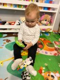 GRZECHOTKA SENSORYCZNA KRÓWKA MELODYJKI ŚWIATŁA 81 GRZECHOTKA SENSORYCZNA KRÓWKA MELODYJKI ŚWIATŁA 81