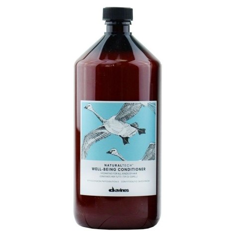 Davines Naturaltech Wellbeing Conditioner odżywka do codziennej pielęgnacji 1000ml (P1) Davines Naturaltech Wellbeing Conditioner odżywka do codziennej pielęgnacji 1000ml (P1)