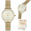 ZEGAREK DAMSKI PAUL LORENS - PL12894B-4D1 (zg553d) + BOX ZEGAREK DAMSKI PAUL LORENS - PL12894B-4D1 (zg553d) + BOX